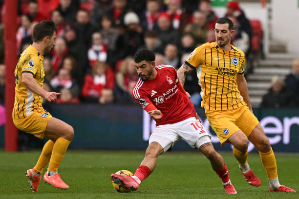 各支国家队 各支国家队